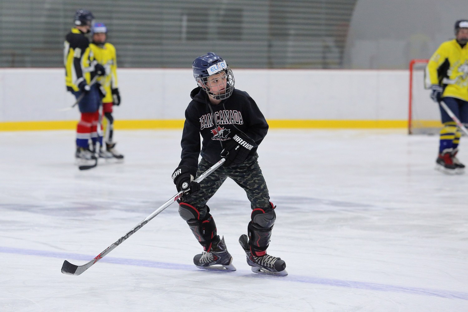 CZECH EAGLES Individuální trénink Vyškov